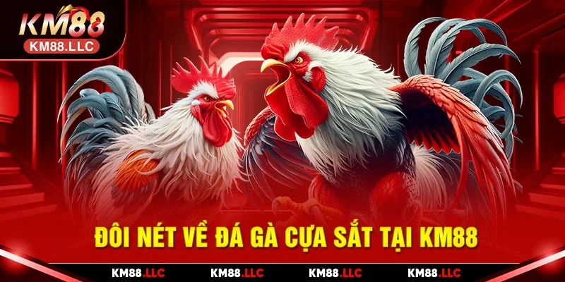 Đá gà cựa sắt