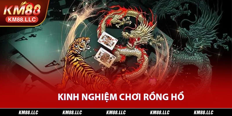 Kinh nghiệm chơi rồng hổ